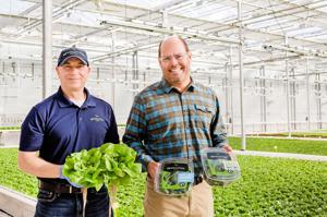Lettuce eat greens: How hydroponic farms are changing the salad scene