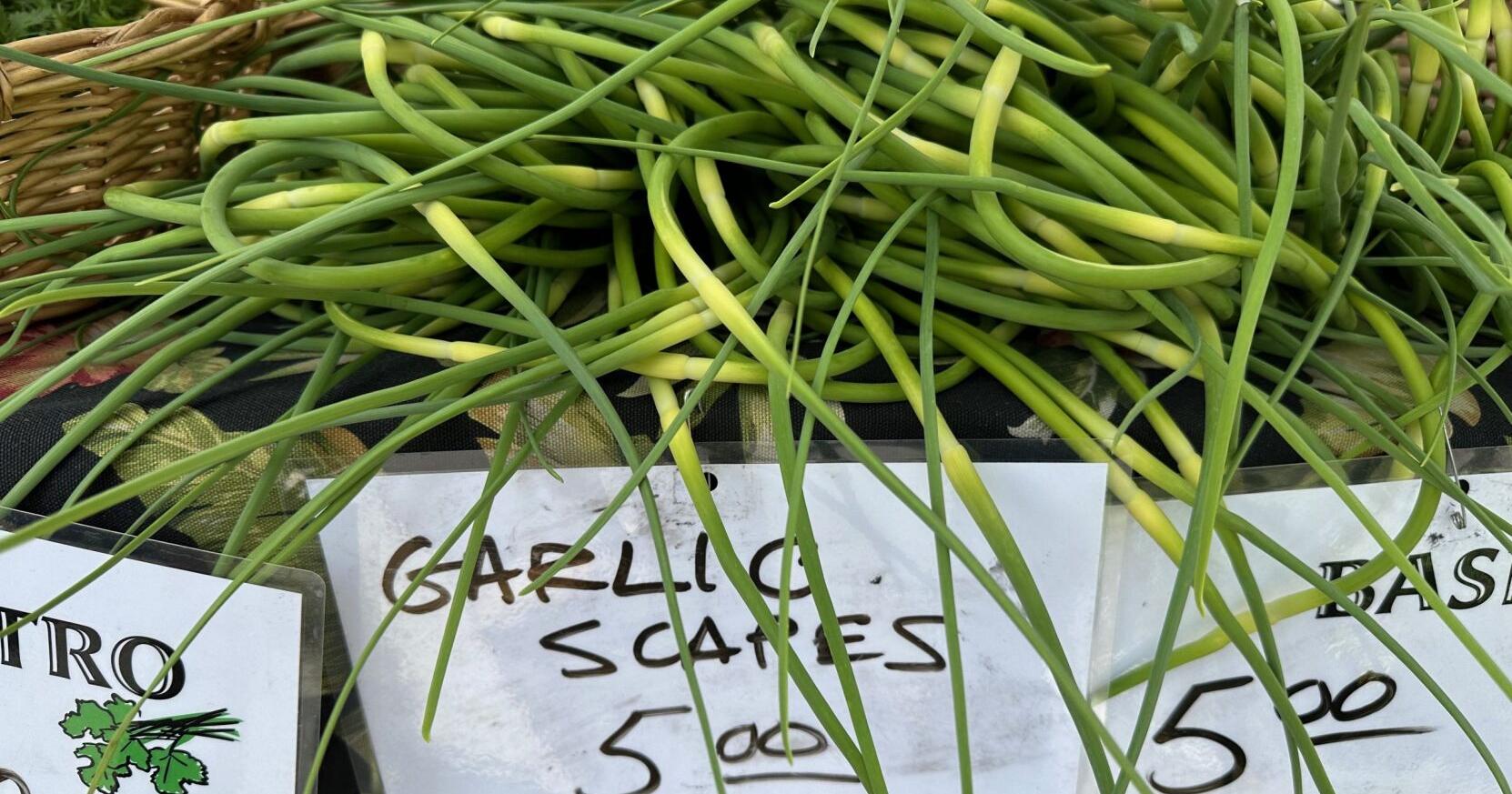 FOOD: Great scapes, great meal - Vimarsana News