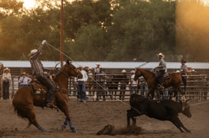 Montrose County Fair & Rodeo in photos — Rodeo night