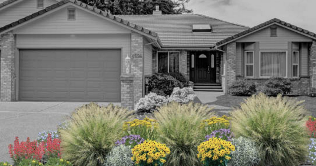 Landscape experts ask Colorado to 'embrace the beige' for drought adaptation; Here’s how to rethink the home lawn without resorting to much-maligned 'zeroscaping”'