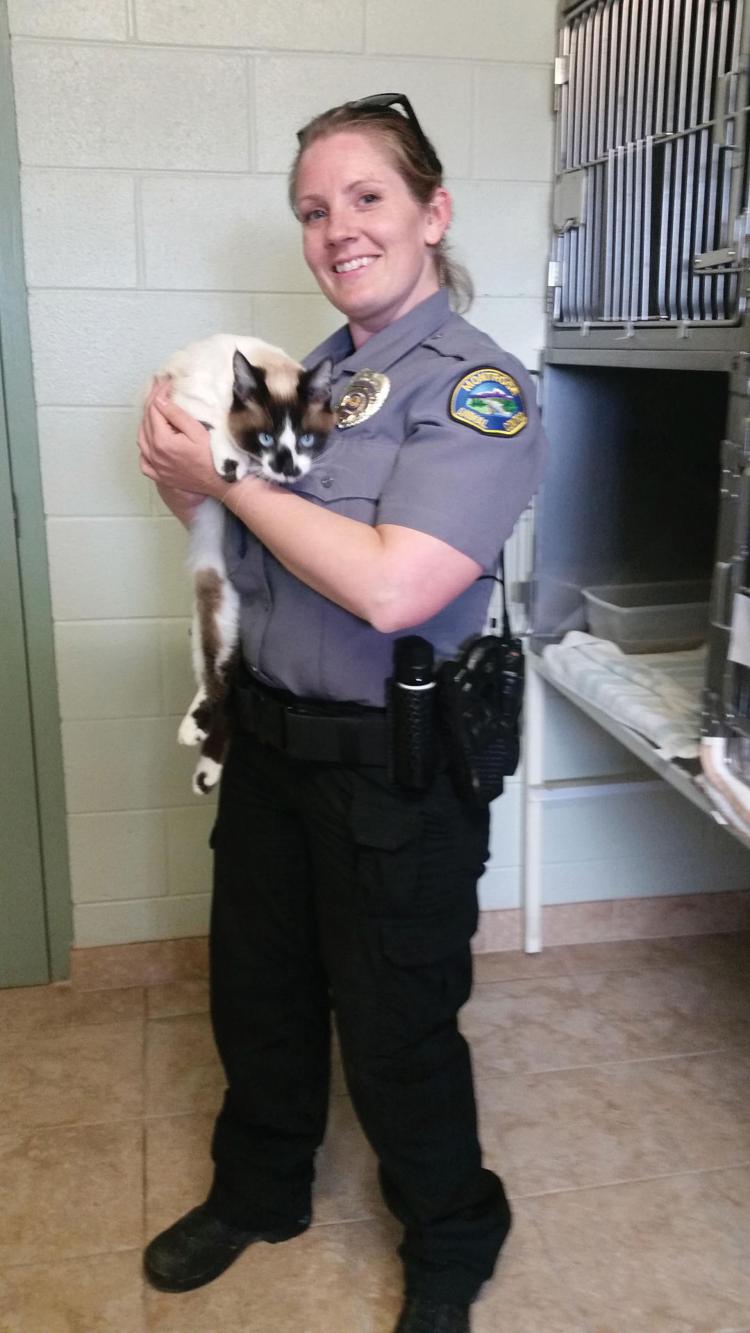 Animal Shelter to open 7 days a week Local News Stories