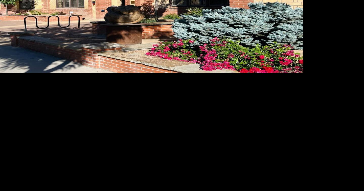 A year in taxes: The 2022 year end tax report for Montrose