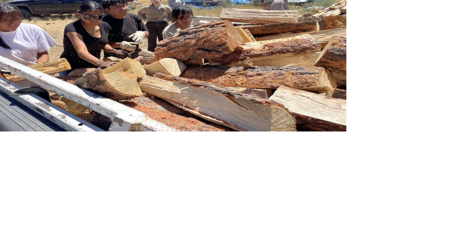 Why firefighters in Colorado tried to save firewood during a summer wildfire;  The Wood for Life program saves unsellable timber from San Juan National Forest thinning projects for Native tribes to heat their homes in winter