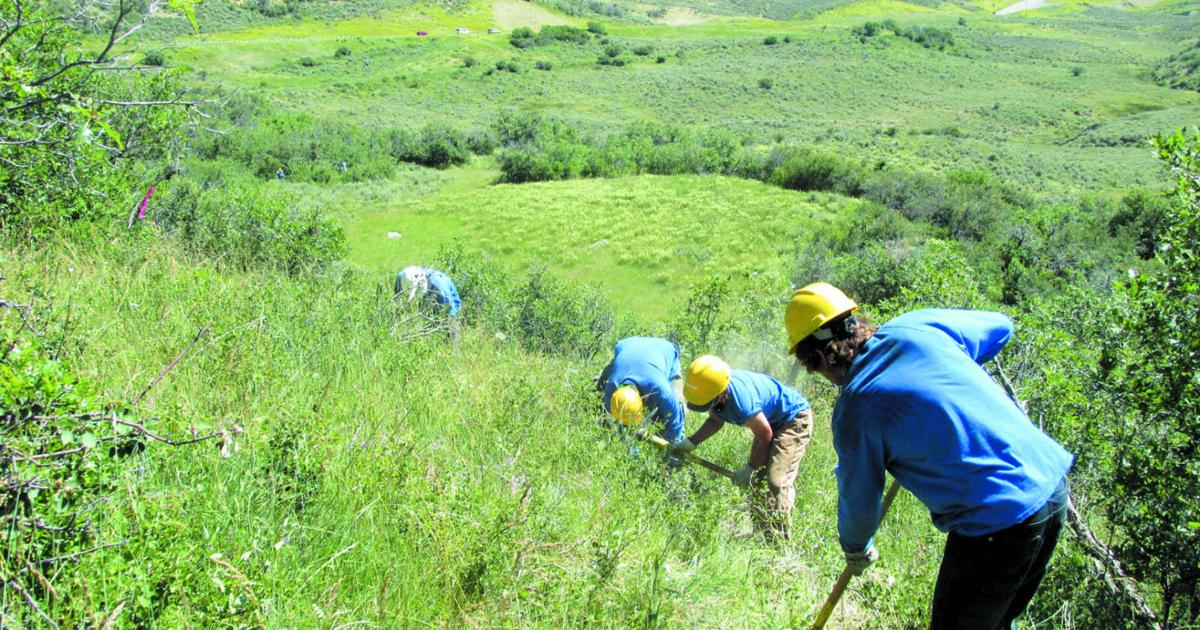 Cerro Summit adds to mix of local trails | Outdoors | montrosepress.com