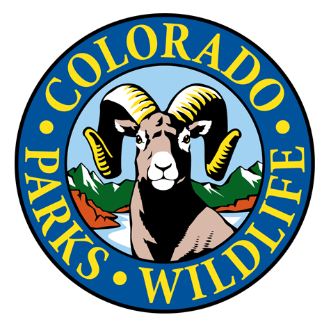 Bear severely mauls herder near Durango - Vimarsana News