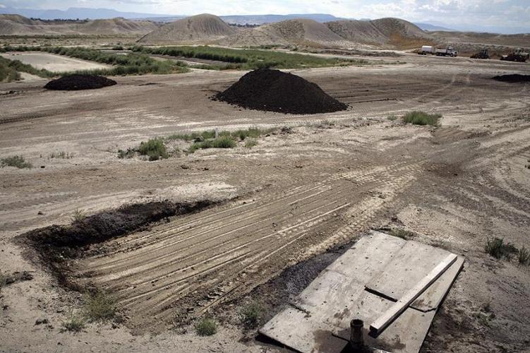 Where's the excrement? Local News Stories