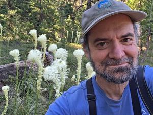 OPINION: No one wants to collide with a deer