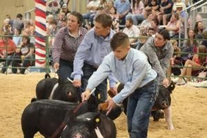 County names new fair board after 'unprecedented' response to call for applications