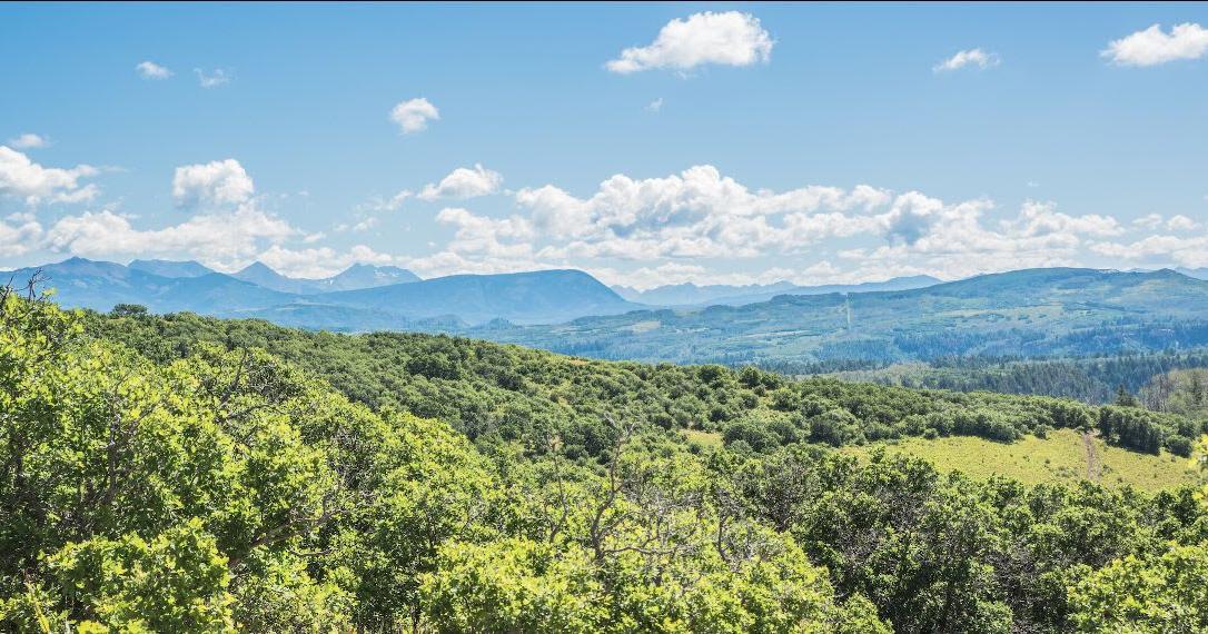 Application period now open for Lone Mesa State Park hunting opportunity - Vimarsana News