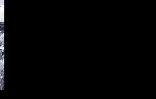 Asset-image