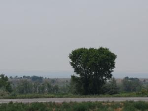 Where's the fire? Oregon. Where's the smoke? Here.