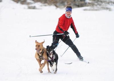 Montrose Women Participate In Winter Sport With Dogs Local