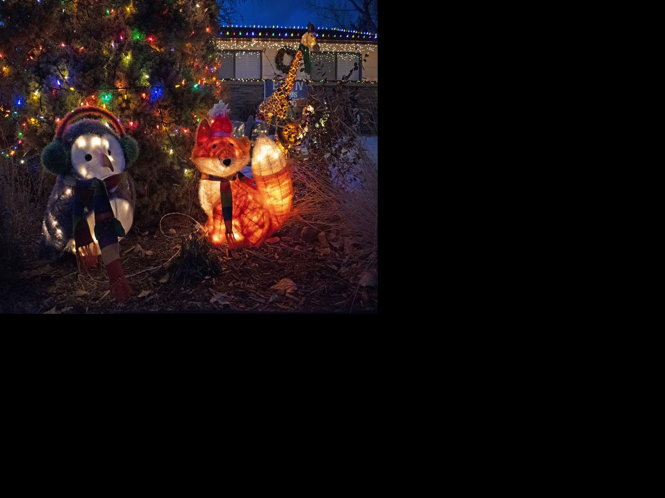 Montrose Tour of Lights offers holiday fun until the New Year Focus