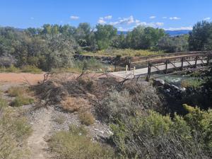 Teams tackle invasive plants along river; ForU needs volunteers for riparian restoration work Oct. 5