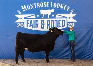 From the Fair: Q&A with Market Beef Grand Champion