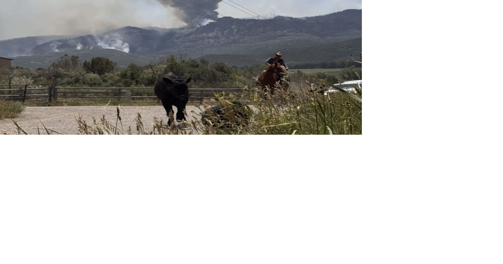 Wildfires burning across Colorado are forcing ranchers to triage their herds; Staying ahead of the flames is another added stress to an already taxed industry where ranchers have a variety of forces pushing against them
