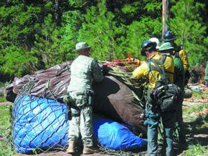 DOLA program could fund disruption of illegal cannabis sales and distribution in Montrose