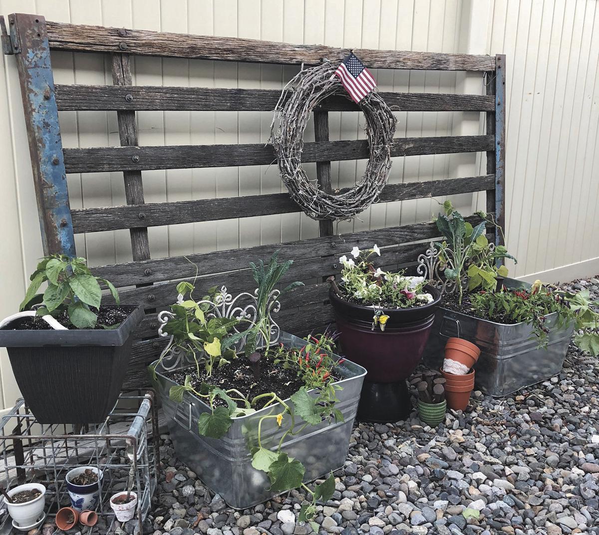 Tips for first time vegetable gardeners | Outdoors | montrosepress.com