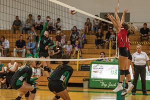 Montrose volleyball starts season with win over Delta