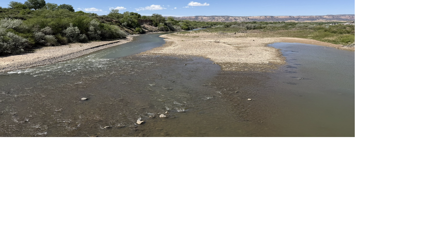 Fish out of water: Historic drought leaves little water for endangered species in critical stretch of Colorado River