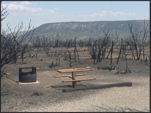 Reflecting on the South Rim Fire — and feeling optimistic for the Black Canyon of the Gunnison National Park