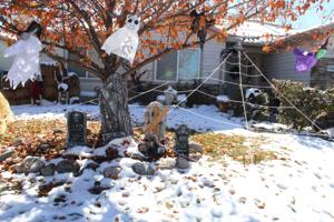 Halloween lights: Zombies, spiders and ghosts will cause a fright this Halloween