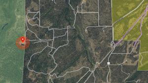 'Evacuate immediately': Simms Fire burns near Govt. Springs Road, Wildcat Canyon