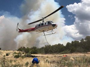 Wet and mild: Conditions for now bode well for calmer fire season