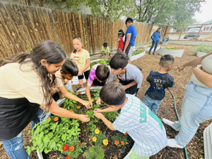 MADA's making moves: Mexican American Development Association is hitting goals and reaching for new ones