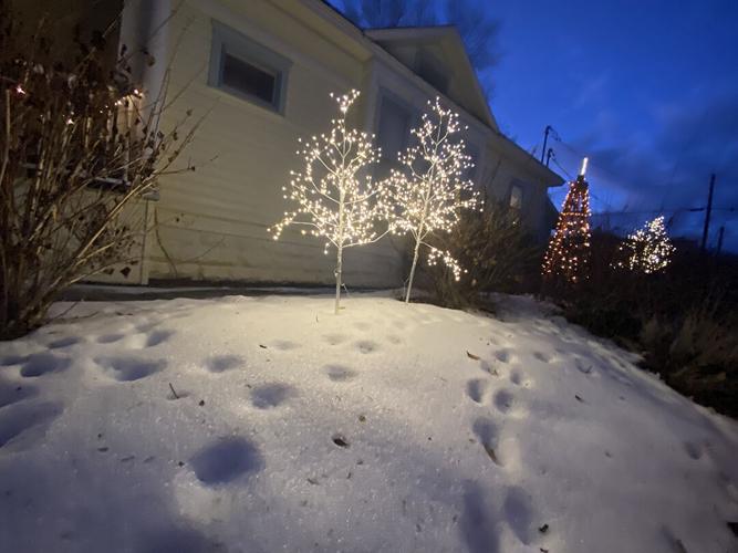 PHOTO GALLERY Montrose Christmas lights on the 2020 Tour of Lights