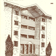 Asset-image