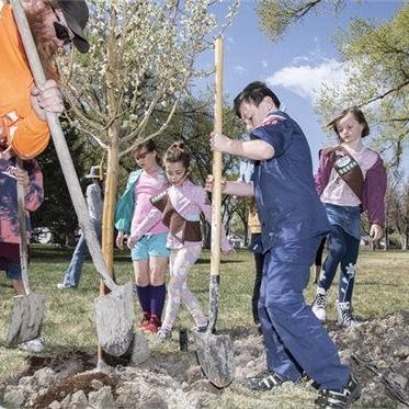 Montrose designated a Tree City USA for 34th year - Vimarsana News