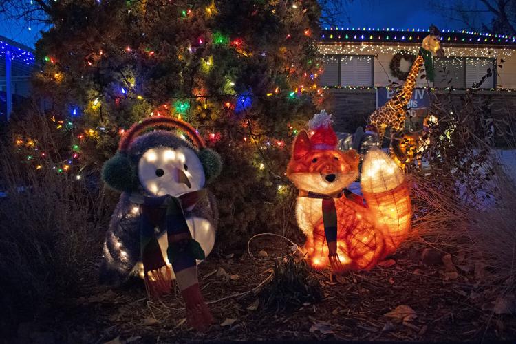 PHOTO GALLERY Montrose Christmas lights on the 2020 Tour of Lights