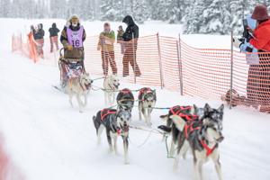 A mushing match-up on the Grand Mesa: Sled dog competition draws crowd