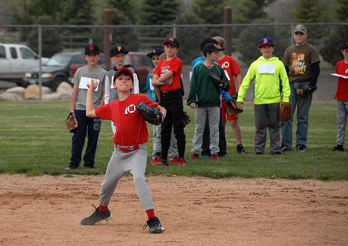 Youth Baseball tryouts Local Sports News
