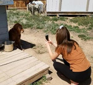 Continuing Bruin Tracks: CHS journalism students publish paper despite COVID-19