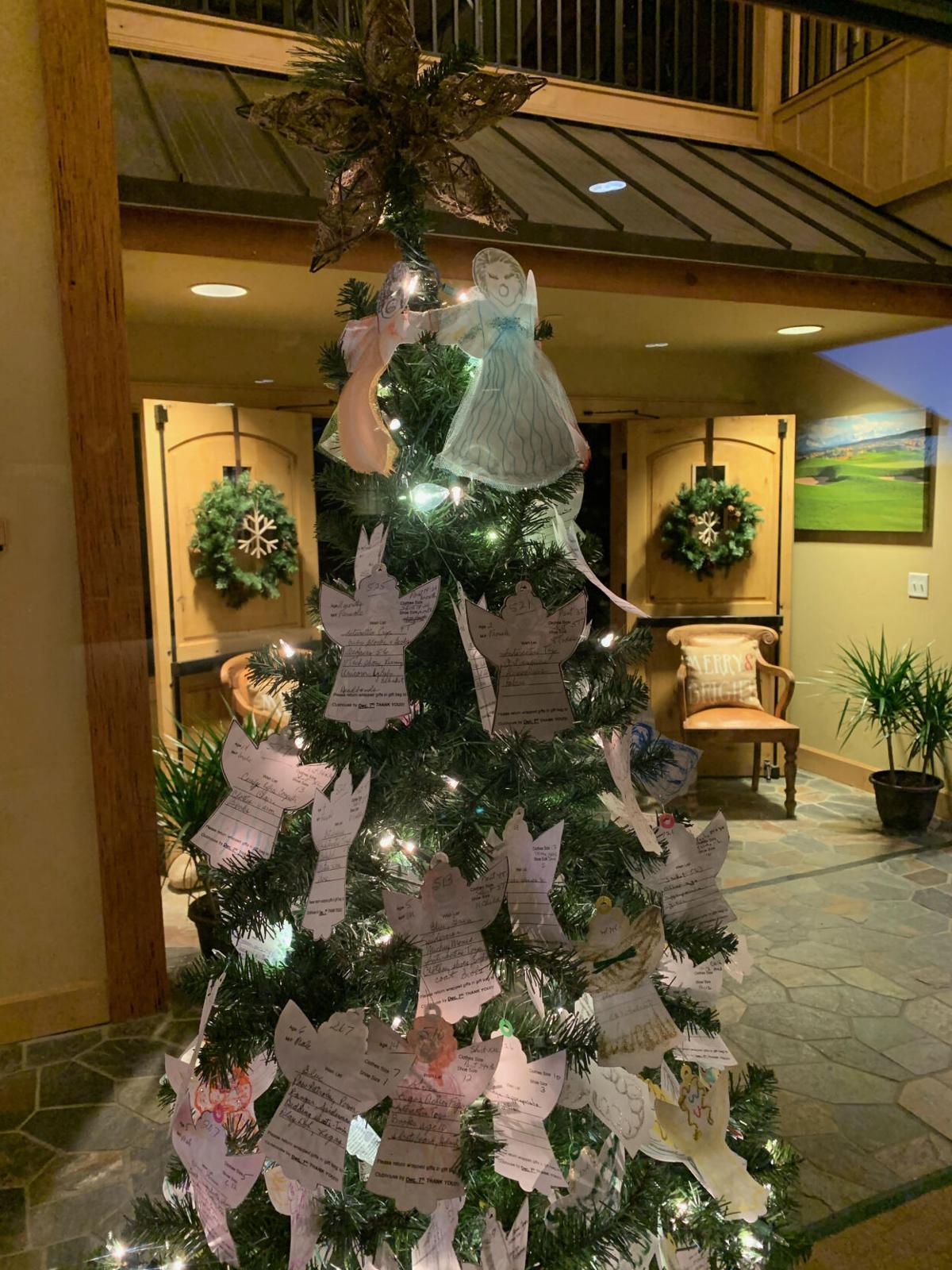 Christmas Tree Permit Montrose Colorado 2021