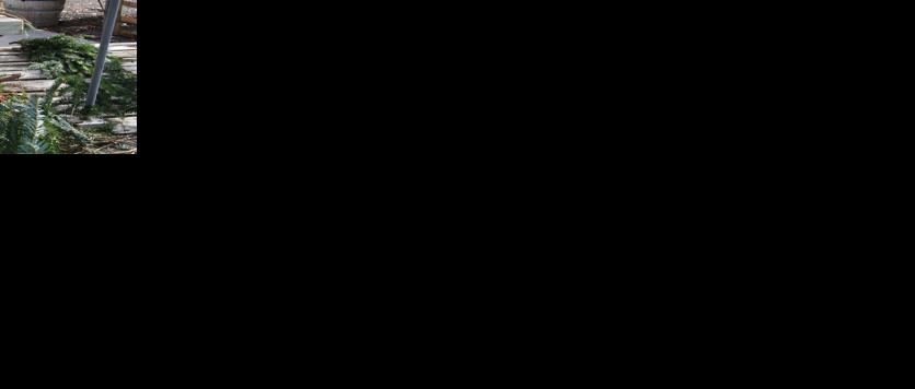 Asset-image