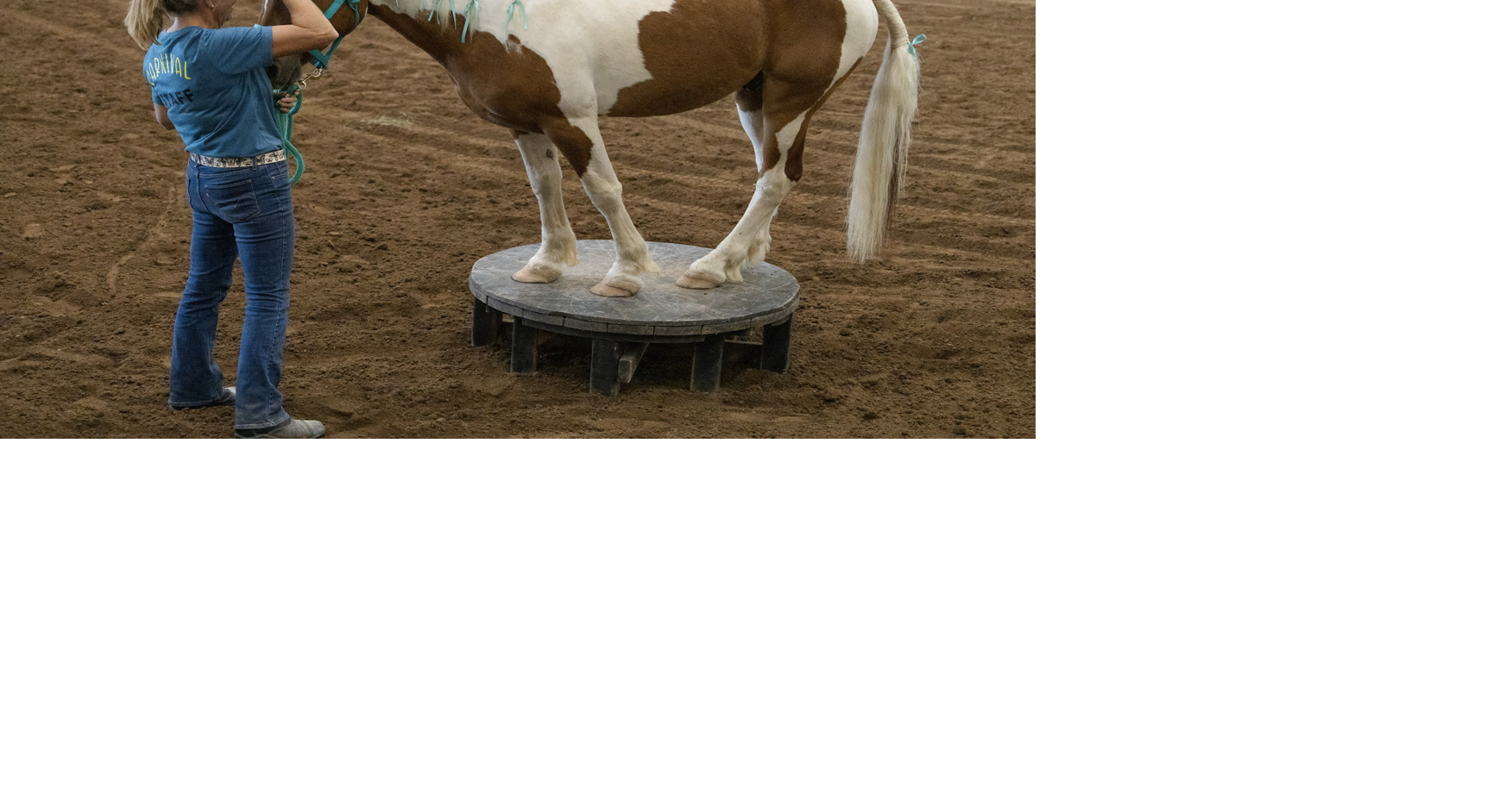 Montrose County Fair livestock results