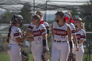 Red Hawks Round-up: Cross Country & Softball