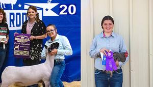 From the Fair: Q&A with Poultry and Lamb Grand champions