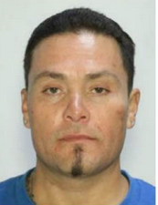 Multiple agencies arrest fugitive in Montrose