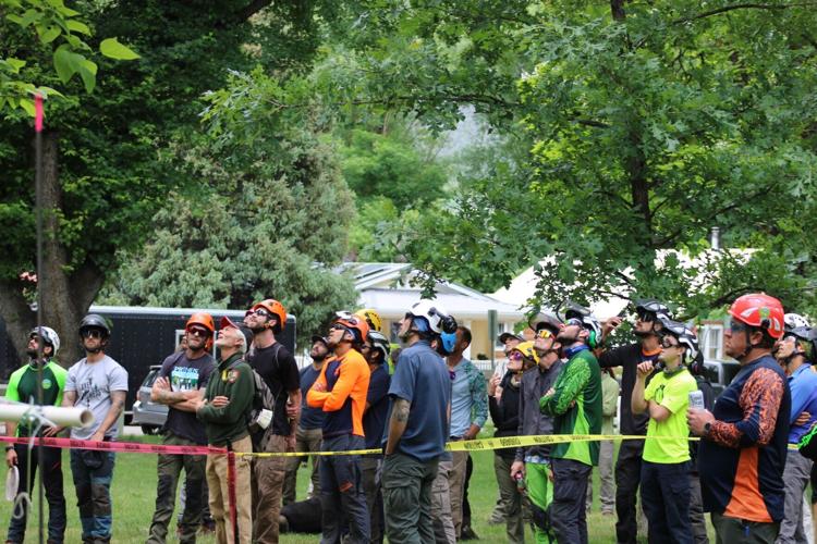 Statewide treeclimbing competition held at Paonia Town Park Local