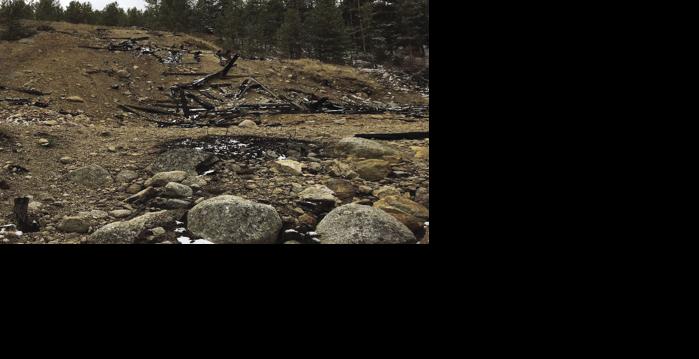 Asset-image