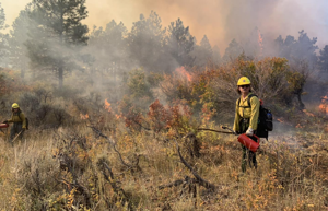WATER SUMMIT: From whence it flows — forests serve as nation's 'headwaters'