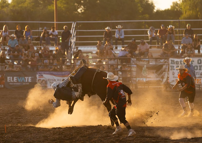 PHOTO GALLERY: Rodeo, royalty and mutton bustin' | Local News Stories ...