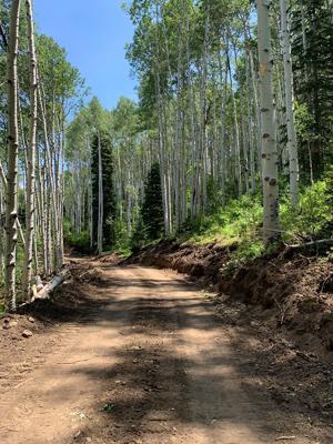 Coal company says its bulldozed road in roadless area near Paonia is legal