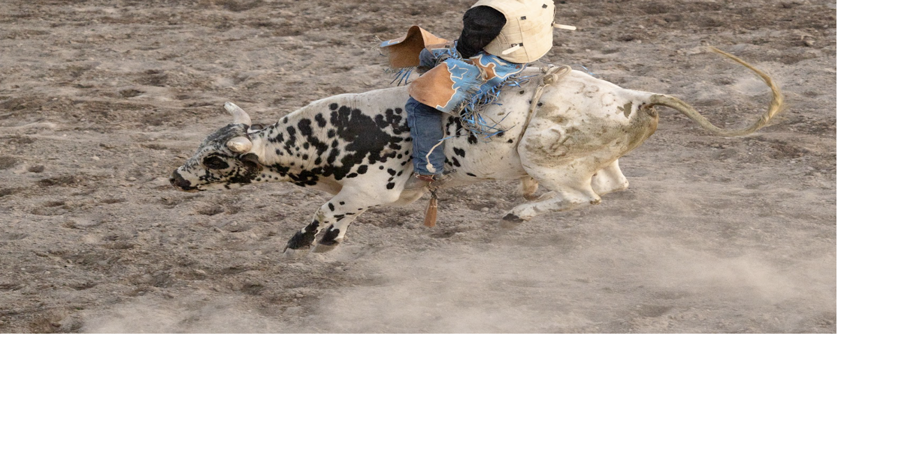 Montrose County Fair & Rodeo gears up for nine days of fun, competition ...