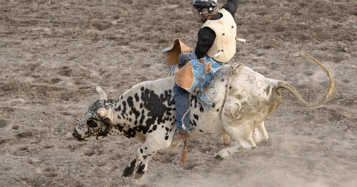 Montrose County Fair & Rodeo gears up for nine days of fun, competition ...