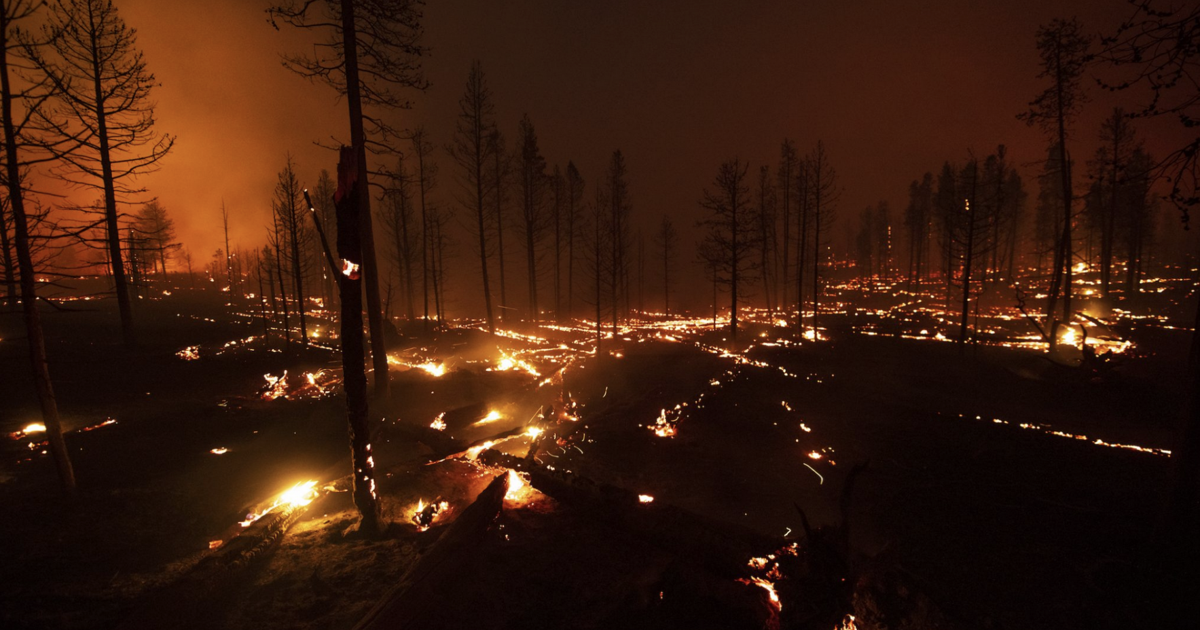 OPINION: Climate issues are kitchen table issues; 2026 candidates ...